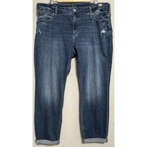 Silver Jeans Co. Boyfriend Mid Rise Stretch Denim Blue Jeans 20W